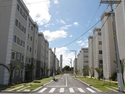 Apartamento para Locação, em Camaçari, bairro BUSCA VIDA, 2 dormitórios, 2 banheiros, 1 suíte, 1 vaga
